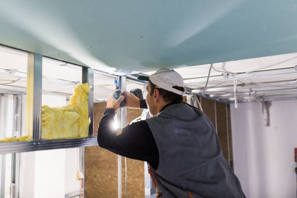 Best Insulation Maintenance and Repair in Chuluota, FL