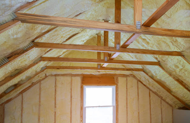 Best Specialized Insulation Services in Chuluota, FL