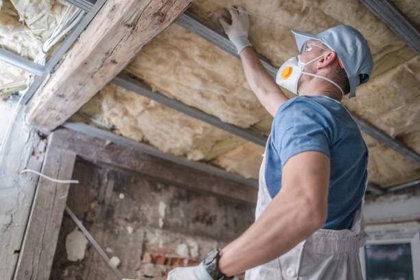 Types of Insulation We Offer in Chuluota, FL