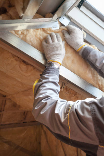 Professional Insulation Contractor in Chuluota, FL
